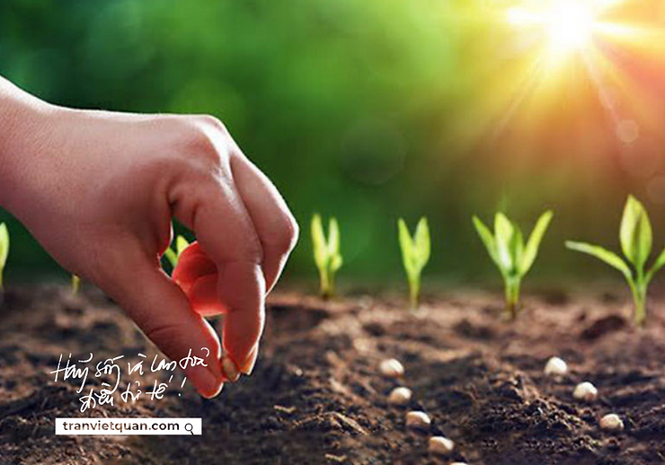 Rèn con tư duy theo nhân quả để con biết gieo nhân gì sẽ gặt quả đó